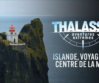 Replay Thalassa, aventures extrêmes - 27/04/2026
