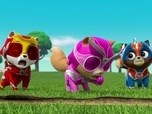 Replay Compilation Paw Patrol, la Pat'Patrouille 9