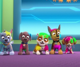 Replay Paw Patrol, la Pat'Patrouille - La journée de l'Amitié - 22'