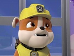Replay Paw Patrol, la Pat'Patrouille - Les oeufs de l'espace