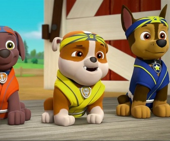 Replay Paw Patrol, la Pat'Patrouille - Comme chiens et chats