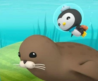 Replay Les Octonauts et le phoque