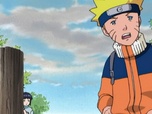 Replay Naruto - S3 E8 - L'épreuve finale commence