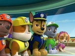 Replay Paw Patrol, la Pat'Patrouille - Des lapins affamés