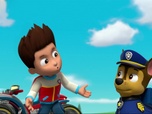 Replay Paw Patrol, la Pat'Patrouille - Les castors