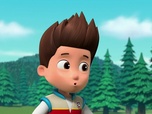 Replay Paw Patrol, la Pat'Patrouille - L'assistant de la Fée des dents