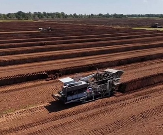 Replay ARTE Journal Junior - Quand jardiner réchauffe la planète