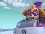 Replay Paw Patrol, la Pat'Patrouille - Le match de hockey